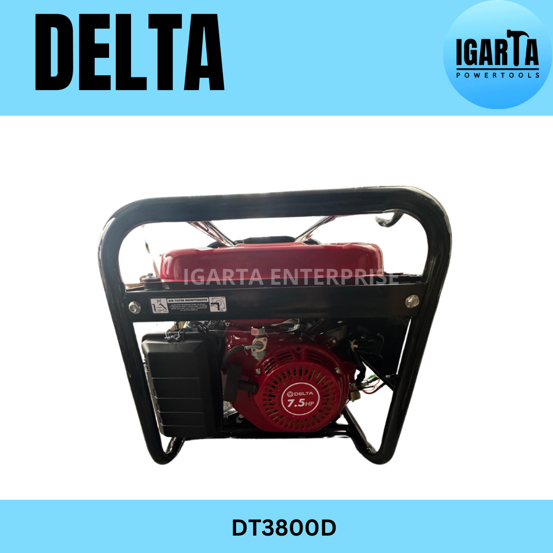 DELTA 3100W DT3800D Gasoline Generator with Electric & Manual Start