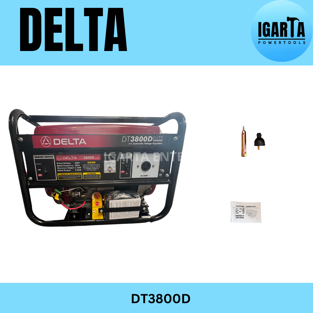 DELTA 3100W DT3800D Gasoline Generator with Electric & Manual Start