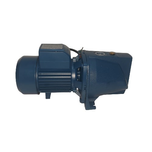 Wizz 1 HP Water Pump